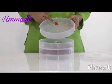 Neural Plastic 4 Compartment Sprout Maker (0070), Round, Box