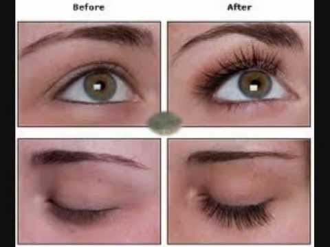 download lagu mp3 mp4 Hollywood Lashes Logo, download lagu Hollywood Lashes Logo gratis, unduh video klip Hollywood Lashes Logo