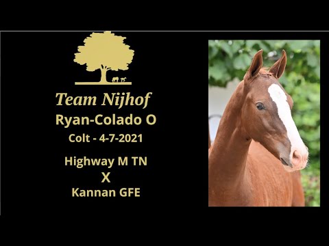 Ryan-Colado O