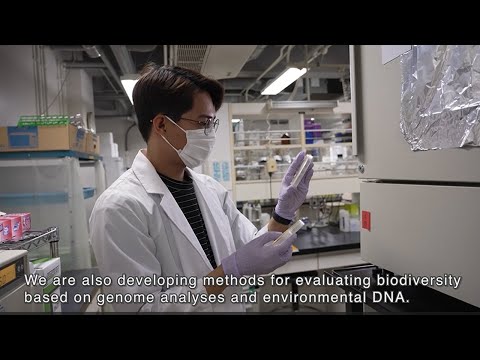 Division of Ecosystem Health Sciences, Center for Marine Environmental Studies, Ehime University