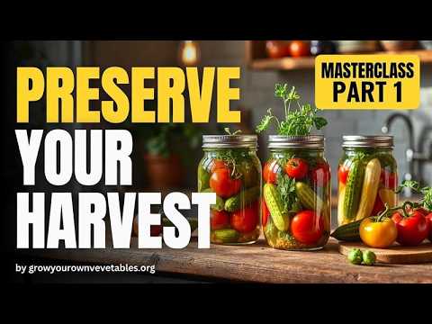 How to Preserve Your Garden Harvest: 3 Simple Strategies (Masterclass Part 1 of 6)