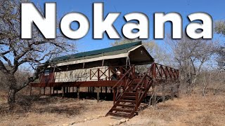 Nokana Safari Camp - Kruger National Park, South Africa