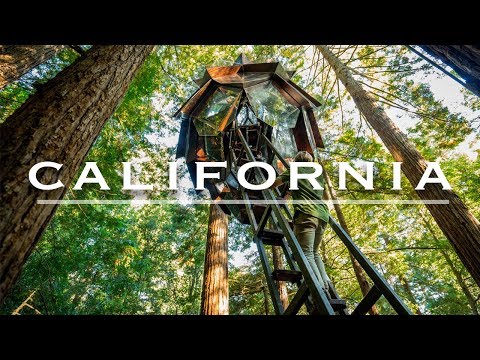 這是世界上最好的樹屋嗎？| 加州紅木森林 (Is this the World's Best Tree House? | Redwood Forest, California)