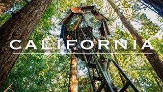 Is this the World's Best Tree House? | Redwood Forest, California