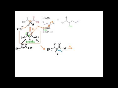 Malonic Ester Synthesis