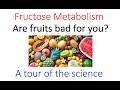 Are fruits bad for you?