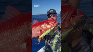 Download lagu Minnow, Metal Jig, or Popper? Here's How to Choose the Right Bait to Avoid Losing Money #shorts mp3