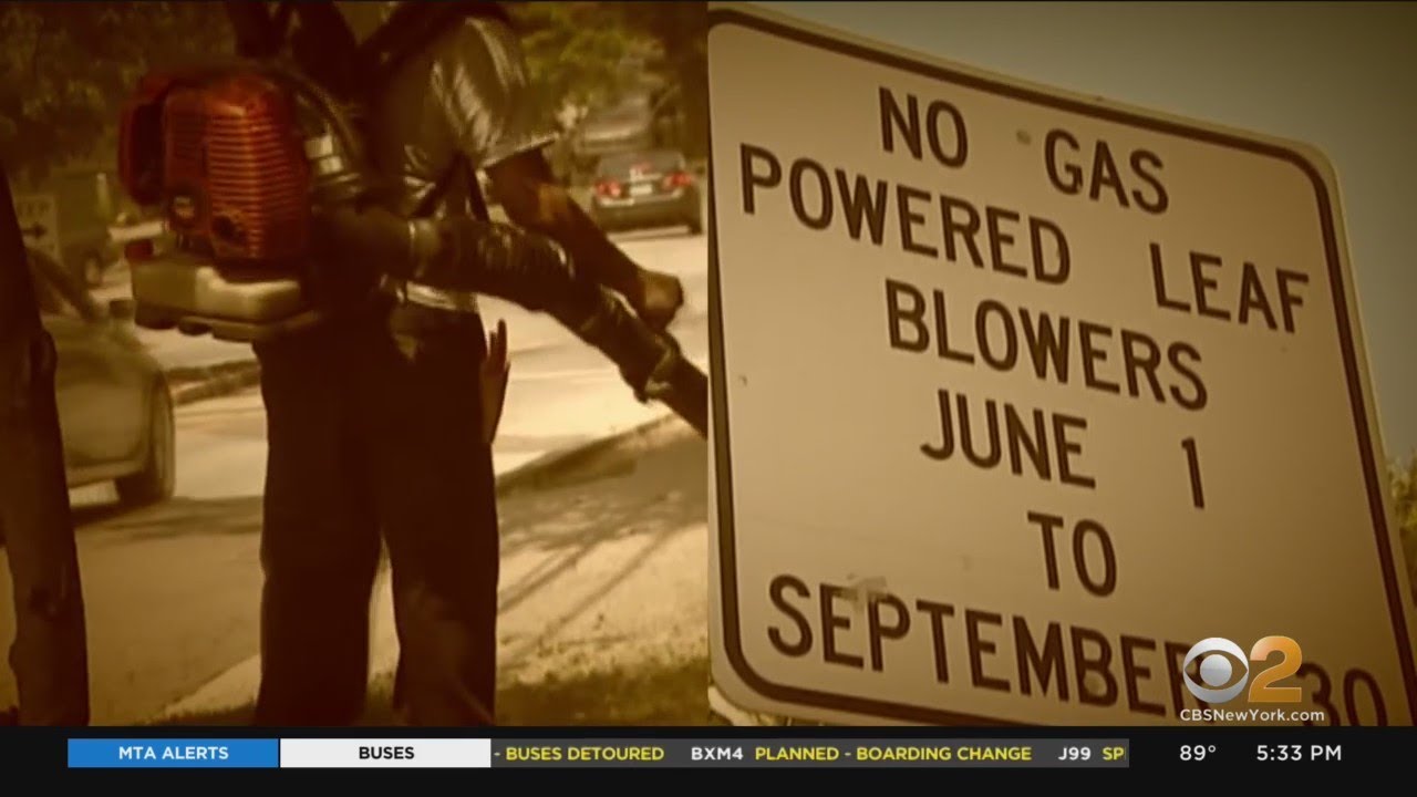 L.I. resident says town is ignoring her noise, pollution complaints