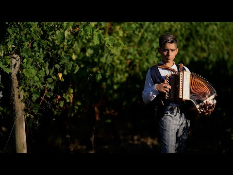 Sulla Biga (Tarantella) - Organetto Riccardo Compagnoni - Scritta dai Maestri: D.Lamano - E.Palombi