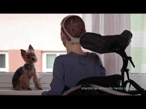 Michal David ft. Pathfinders - Pár přátel stačí mít