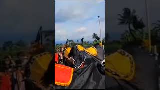 Download lagu putro mega meru banteng berbadan 3 life bletok tamiajeng mp3 Download lagu putro mega meru banteng berbadan 3 life bletok tamiajeng mp3