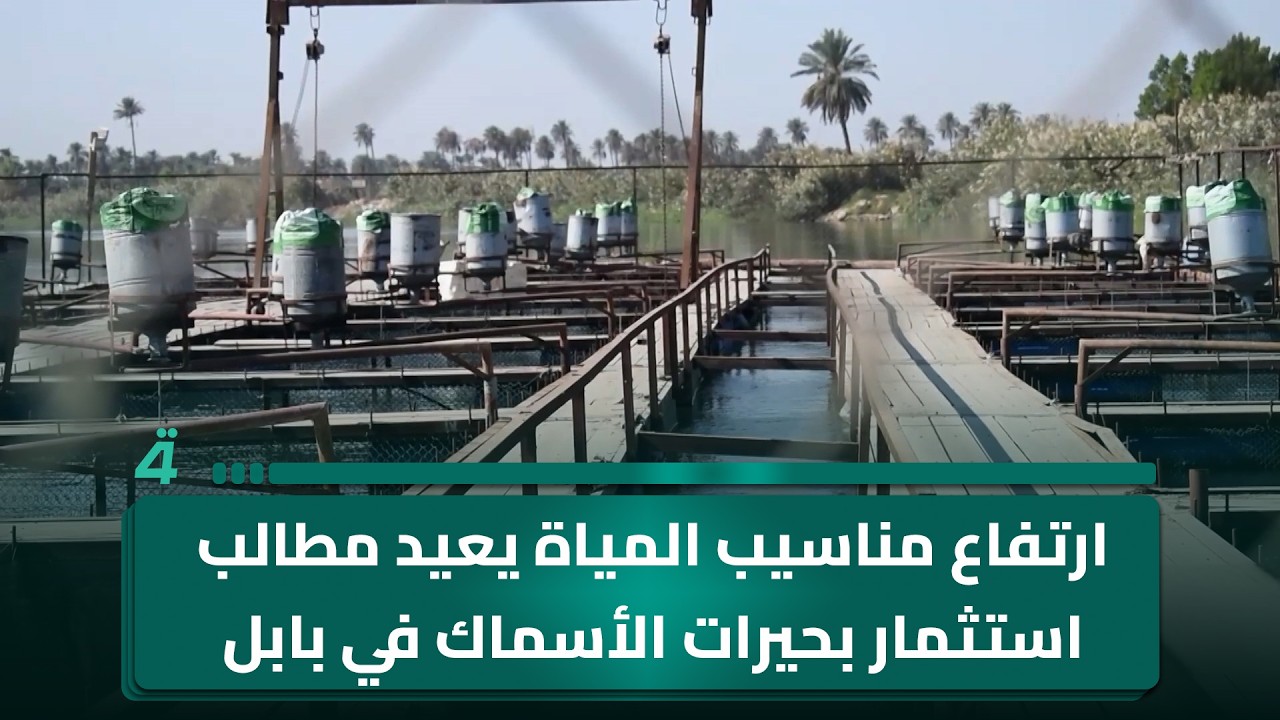فيديو | ارتفاع مناسيب المياة يعيد مطالب استثمار بحيرات الأسماك في بابل