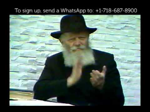 #328: The Birth of Tzivos Hashem