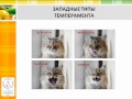 Каков твой темперамент? 