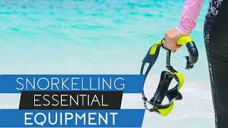Best Snorkelling Gear for Kids & Families w/@AnthonysKey