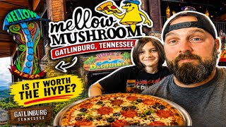 Best Pizza in Gatlinburg? Mellow Mushroom Review