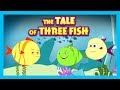 THE TALE OF THREE FISH THE FISH STORY BEDTIME STORY FOR KIDS