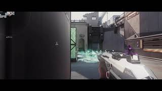 AviutlでVALORANT MONTAGE