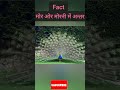Mor Or Morni Main Anter मोर ओर मोरनी में अन्तर