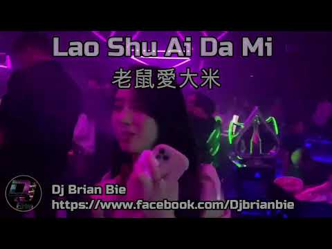 Lao Shu Ai Da Mi 老鼠愛大米 Remix By Dj Brian Bie Tiktok Hot Song