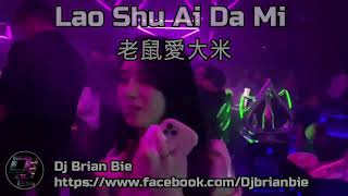 Download lagu Lao Shu Ai Da Mi 老鼠愛大米 Remix By Dj Brian Bie Tiktok Hot Song mp3