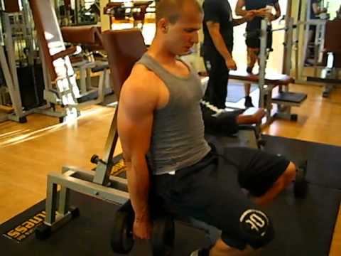 Training. Serie interrotte (Bicipiti)