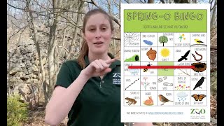 Zoo to You: Play Spring-O-Bingo