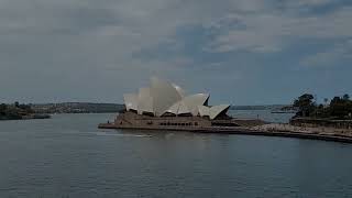 Quick Walk-Through of Royal Caribbean's Ovation of the Seas: Junior Suite 8222 (Nov 2024)