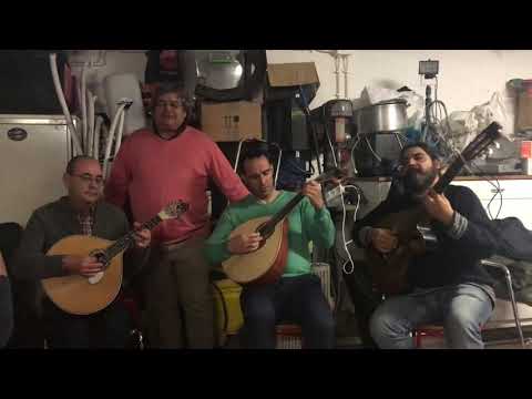 Francisco Madureira - Cavalo Alazão