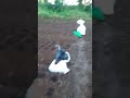 Story Wa Suasana Sore Hari