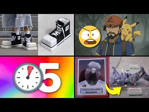 25 Things You Didn't Know 5 Minutes Ago!! ⏰😲 [247]