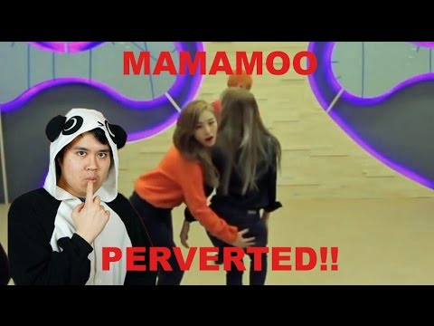 MAMAMOO IS PERVERTED ( 변태) COMPILATION REACTION.
