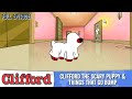 Puppy Days Clifford The Scary Puppy Things That Go Bump HD Full Episodes