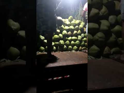 A grade whole green coconut, packaging size: truck loading, ...