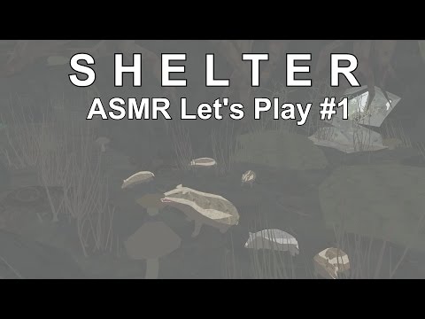 shelter pc gameplay