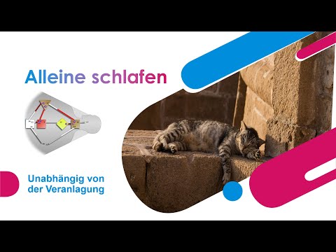 Human Design - die Zentren - das Dream Rave - und warum man sowieso alleine schlafen sollte