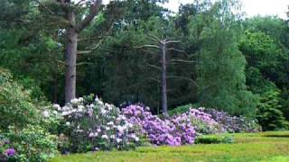 preview picture of video 'Den Geografiske Have i Kolding - Botanic Garden in Denmark'