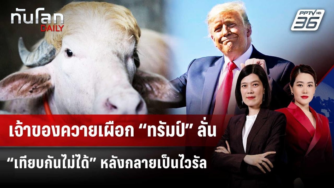 เจ้าของควายเผือก “ทรัมป์” ลั่น “เทียบกันไม่ได้” ห?