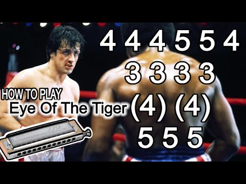 EYE OF THE TIGER HARMONICA ( CHROMATIC ), ARMÓNICA CROMÁTICA GAITA DE BOCA MUNDHARMONIKA MOUTH ORGAN