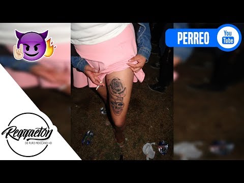 Zamakea | Emmas Dj × Dj Mofin | Cumbiaton | Exclusiva | Reggaeton De Puro Mex HD