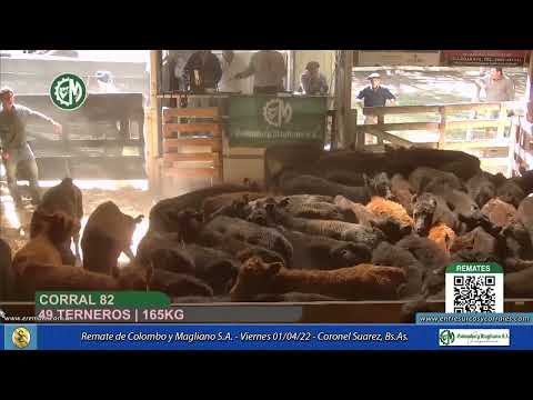 01-04-22 - Remate de Colombo y Magliano S.A. en Coronel Suarez, Bs.As.