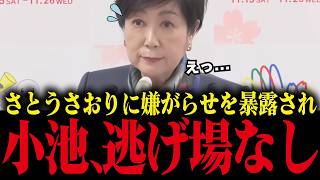 【小池百合子】さとうさおりに過去の嫌がらせを暴露され、小池大慌て！【小池都知事 都議会 カイロ大学 学歴詐称疑惑】