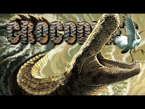 EVOLUTION of CROCODILES