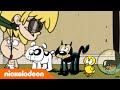 Huize Herrie | De dieren van Huize Herrie | Nickelodeon Nederlands