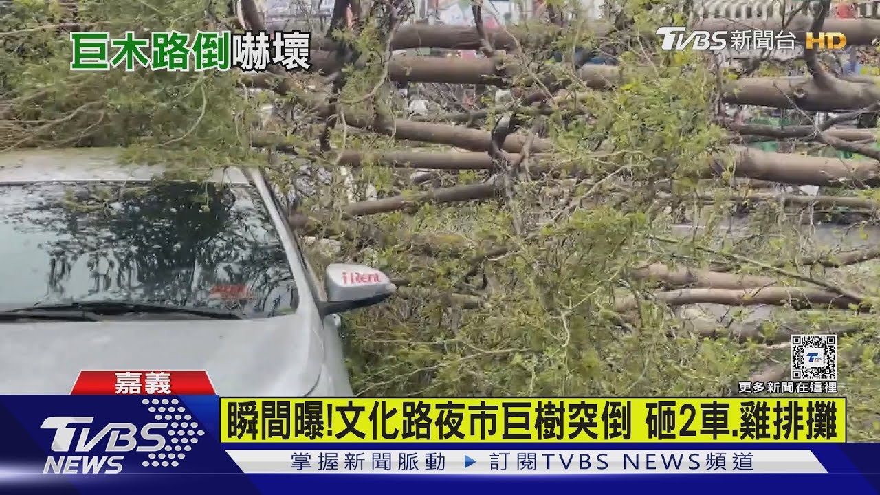 樹倒瞬間曝!文化路夜市驚險意外巨樹倒 郵局:會理賠