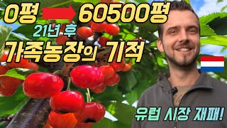 가족텃밭, 매년 3000평 21년간 커지면 벌어지는 일 (안PD 네덜란드 탐방기 EP.01)