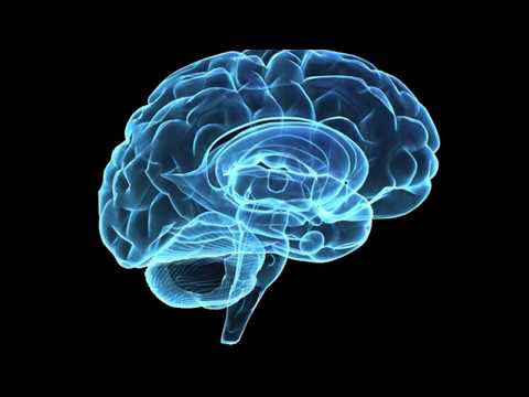 Thales of Miletus - Philosopher