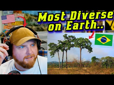 American Reacts to Awesome Facts about Brazil