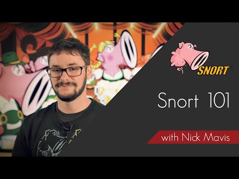 image-What is Snort IDS and how does it work?