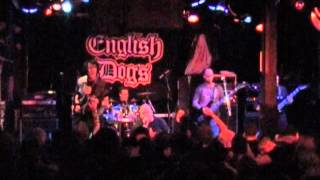 English Dogs Ordeal by fire Baltimore 10/2/2012